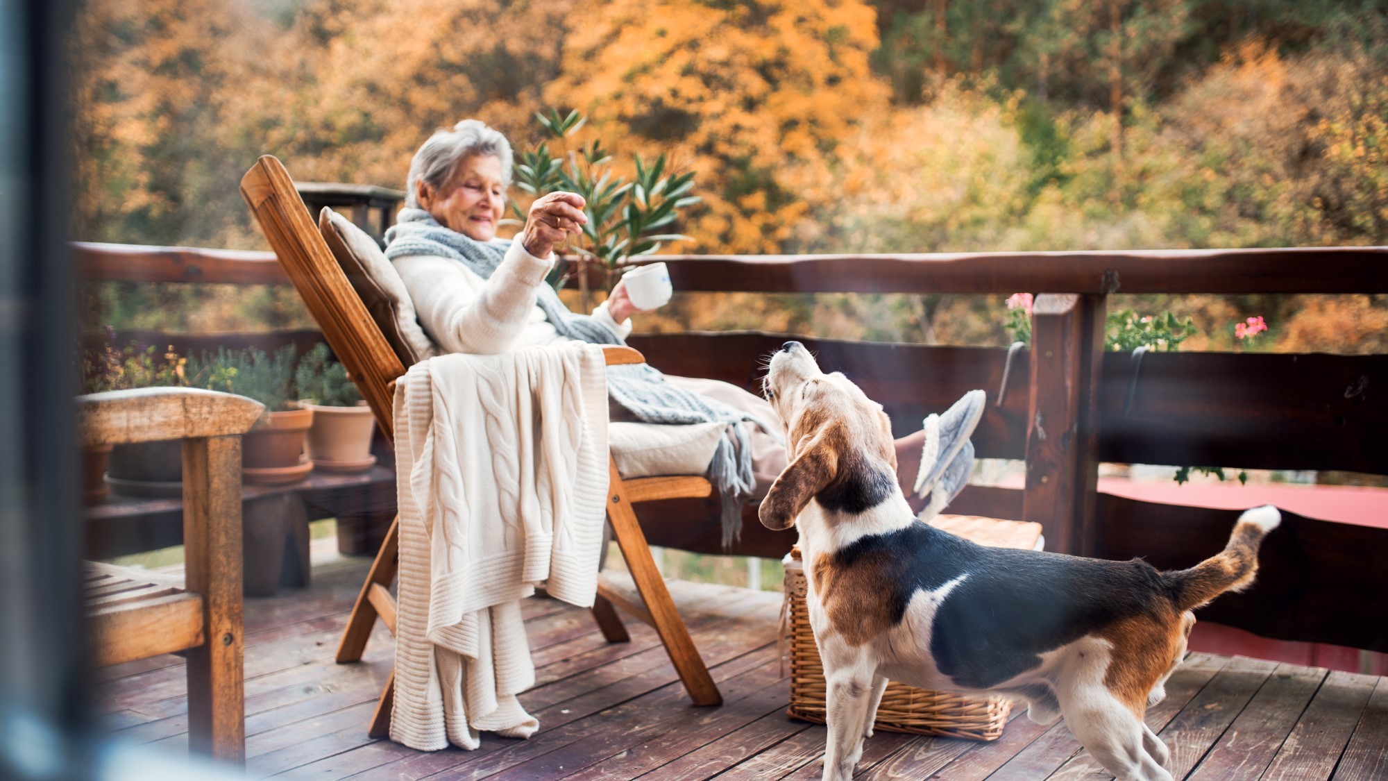 Elderly Parents and Pets: Helpful or Dangerous? - Aging Outreach Services